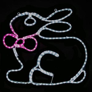 Novelty Lights Easter LED Rope Light Motif - 1 of 4
