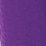 purple orchid