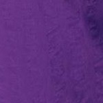 purple orchid