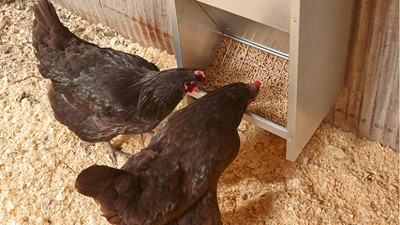 Large Galvanized Steel High Capacity Poultry Feeder