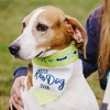 Pavilion Gift Company - River Dog - 12" x 8" Canvas Slip on Pet Bandana - Pet Apparel Accessories - 2 of 4