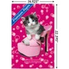 Trends International Keith Kimberlin - Kitten - Shoe Unframed Wall Poster Prints - 3 of 4