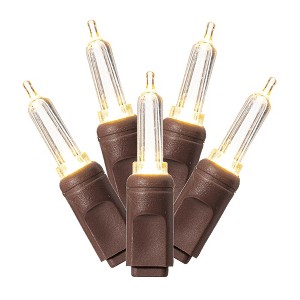 Vickerman Single Mold Italian LED Christmas Light Set Brown Wire Poly Bag - 1 of 3
