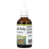 Natural Factors Liquid Kelp, 800 mcg, 1.6 fl oz (50 ml) - 4 of 4