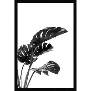 Amanti Art Monstera Black and White 03 by Amini54  Wood Framed Wall Art Print - 1 of 4
