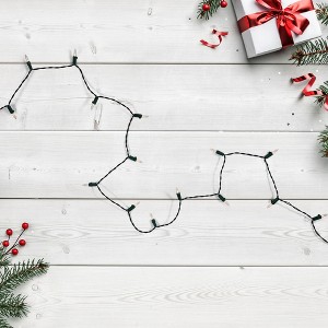 Northlight LED Mini Christmas Lights - Warm White  - 15.75’ Green Wire - 50ct - 1 of 4