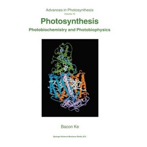 Photosynthesis - (Advances in Photosynthesis and Respiration) by  Bacon Ke (Paperback) - 1 of 1