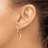 Black Bow Jewelry 2mm x 31mm Polished 14k Yellow Gold Classic Oval Hoop Earrings - 3 of 4