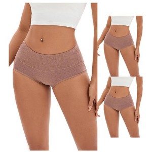 INSPIRE CHIC 3 Pcs Women's Plus Size High Waist Tummy Control Briefs Butt Lifter Control Panties - 1 of 4