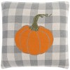 Fall Pumpkin Pillow - Light Grey/Natural/Orange/Sage - 20"x20'' - Safavieh - 4 of 4