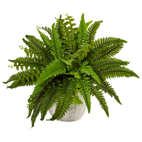 Nearly Natural Boston Fern in White Planter - image 1 of 2