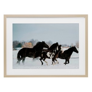 Stupell Industries Winter Herd of Horses Framed Print Under Glass Art - 1 of 4