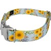Country Brook Petz Premium Dog Collar - Spring Collection - 2 of 4