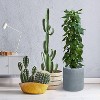 Rosemead Home & Garden, Inc. 16" Wide Kante Lightweight Modern Concrete Indoor Outdoor Planter Pot Charcoal - 3 of 3