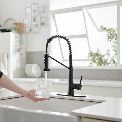 Matte Black Single-Handle Pull-Down Sprayer High Arc Kitchen Faucet
