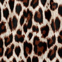 oatmeal animal print