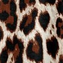 oatmeal animal print