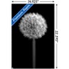 Trends International Tom Quartermaine - Black and White Dandelion Unframed Wall Poster Prints - 3 of 4