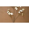 White Artificial Dogwood Spray – 48" Tall Decorative Floral Stem by Kalalou - 3 of 3
