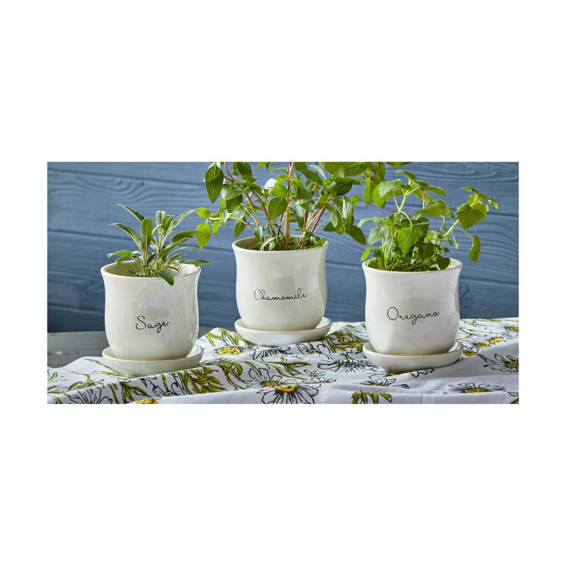 tagltd Oregano Herb Garden Small White Planter With Saucer Set, 4.75L x 4.75W x 1.09H inches,  fits up to a 4" drop in plant., 3 of 4