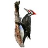 Madd Capp Puzzles: 300-piece I am Woodpecker - 2 of 4