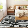 Area Rug, Anti Slip, Washable Area Rug, Pet Friendly, Faux Cashmere Modern Carpet for Living Room Bedroom - 4 of 4