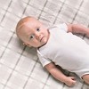 Trend Lab Flannel Fitted Crib Sheet - 3 of 4