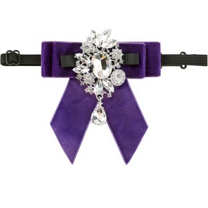 INSPIRE CHIC Women's All-match Fashion Performance Adjustable Diamond-encrusted Brooch Neck Tie - 1 of 4