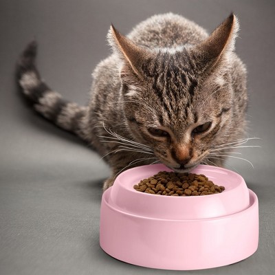 Pink Stainless Steel Whisker Relief Cat Bowls, Set of 2