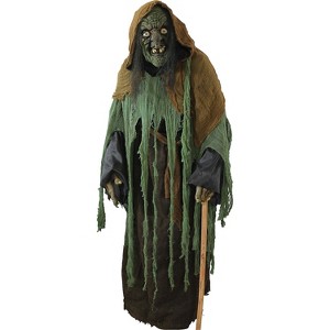 Adult Witch Ghoul Costume - 1 of 1