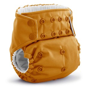 Kanga Care Rumparooz G3  AWJ Reusable One Size Pocket Cloth Diaper 6-55 lbs - 1 of 4