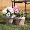 Sullivans Artificial Peony Bush 11"H Pink Flowers - 2 of 2