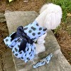 Doggie Design Blackberries Dog Dress with Matching Leash - 4 of 4