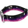 Country Brook Petz HossFit Jr Wide Premium Dog Collar - Geek Chic Collection - 2 of 4