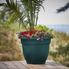 Bloem Ariana Round Resin Planter Pot Indoor and Outdoor Gardening - 2 of 4