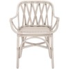 Serafima Rattan Arm Chair - ACH6702 - Safavieh - 2 of 4