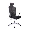 Executive Office Chair with High Back Mesh Adjustable Arms and Lumbar Support for Work Desk -3irtyhousy - 3 of 4