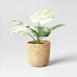 Small Marble Monstera Artificial Plant - Threshold™