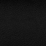 central florida golden knights