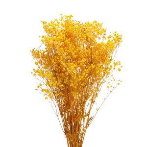 Unique Bargains Natural Dried Baby's Breath Flowers Branches for Wedding Party Decoration Yellow 1 Pc - 1 of 4