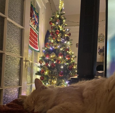 Guest review image 2 of 2, zoom in