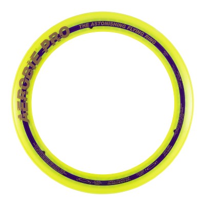 aerobie frisbee target