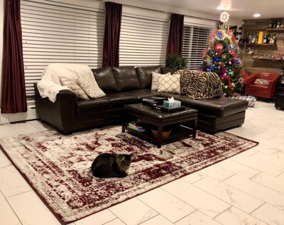 Guest review image 1 of 2, zoom in