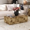 Moxie Coffee and End Table, 3 pc Set, Burl Veneer - 4 of 4