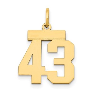 Black Bow Jewelry 14k Yellow Gold, Athletic Collection, Small Polished Number 43 Pendant - 1 of 4