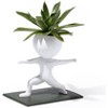 Sporting Succulents Potted Plants Pots, Flower Pot For Home Office Desk Decoration (excluding Plants) - 2 of 2