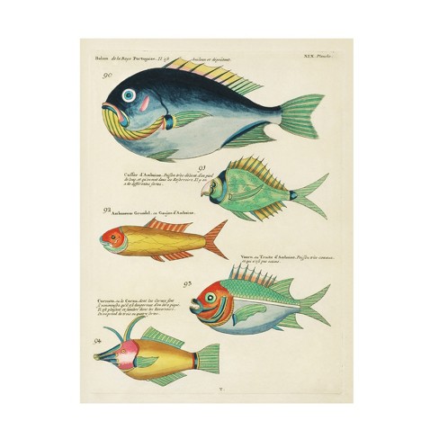 Trademark Fine Art - Louis Renard Renard Tropical Fish I Canvas Art ...