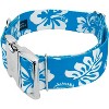 Country Brook Petz 1 1/2 Inch Premium Dog Collar - Summer Breeze Collection - 2 of 4