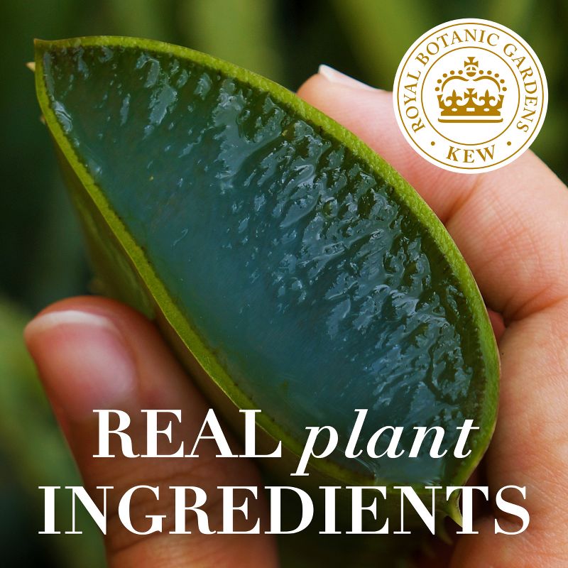 Herbal Essences bio:renew Sulfate Free Leave In Curl Cream with Mango &#38; Aloe - 6.8oz, 4 of 10