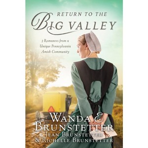 Return to the Big Valley - by  Wanda E Brunstetter & Jean Brunstetter & Richelle Brunstetter (Paperback) - 1 of 1